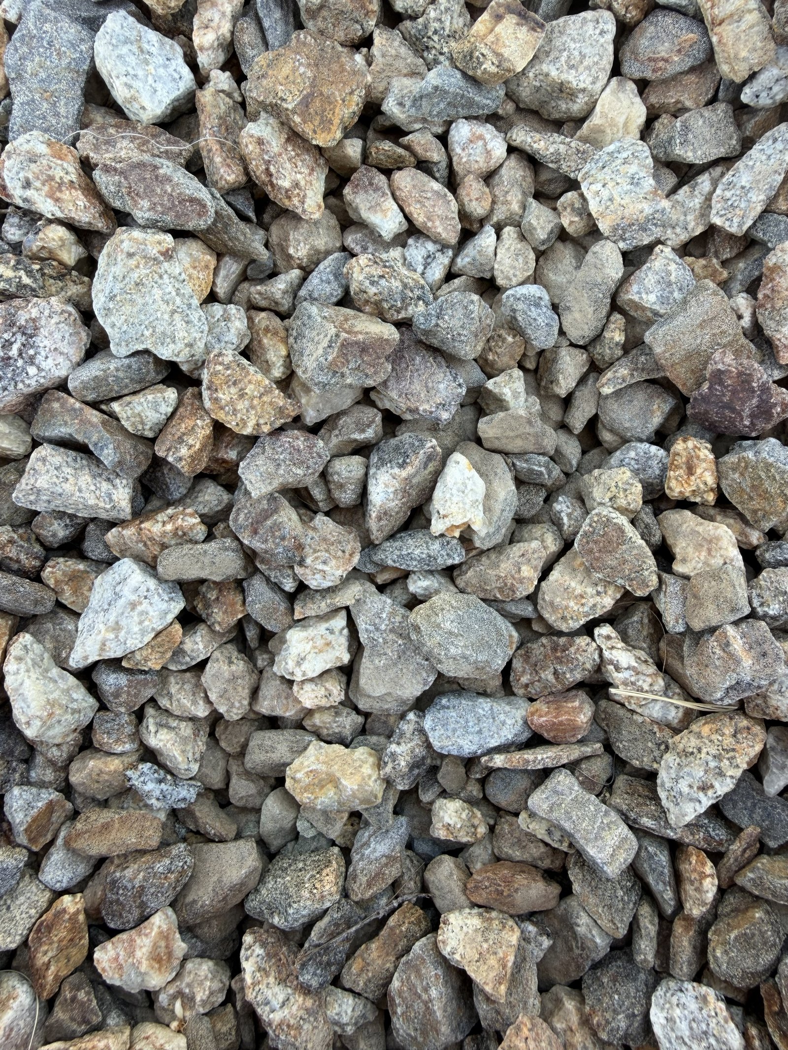 LaCresta Small/Medium
